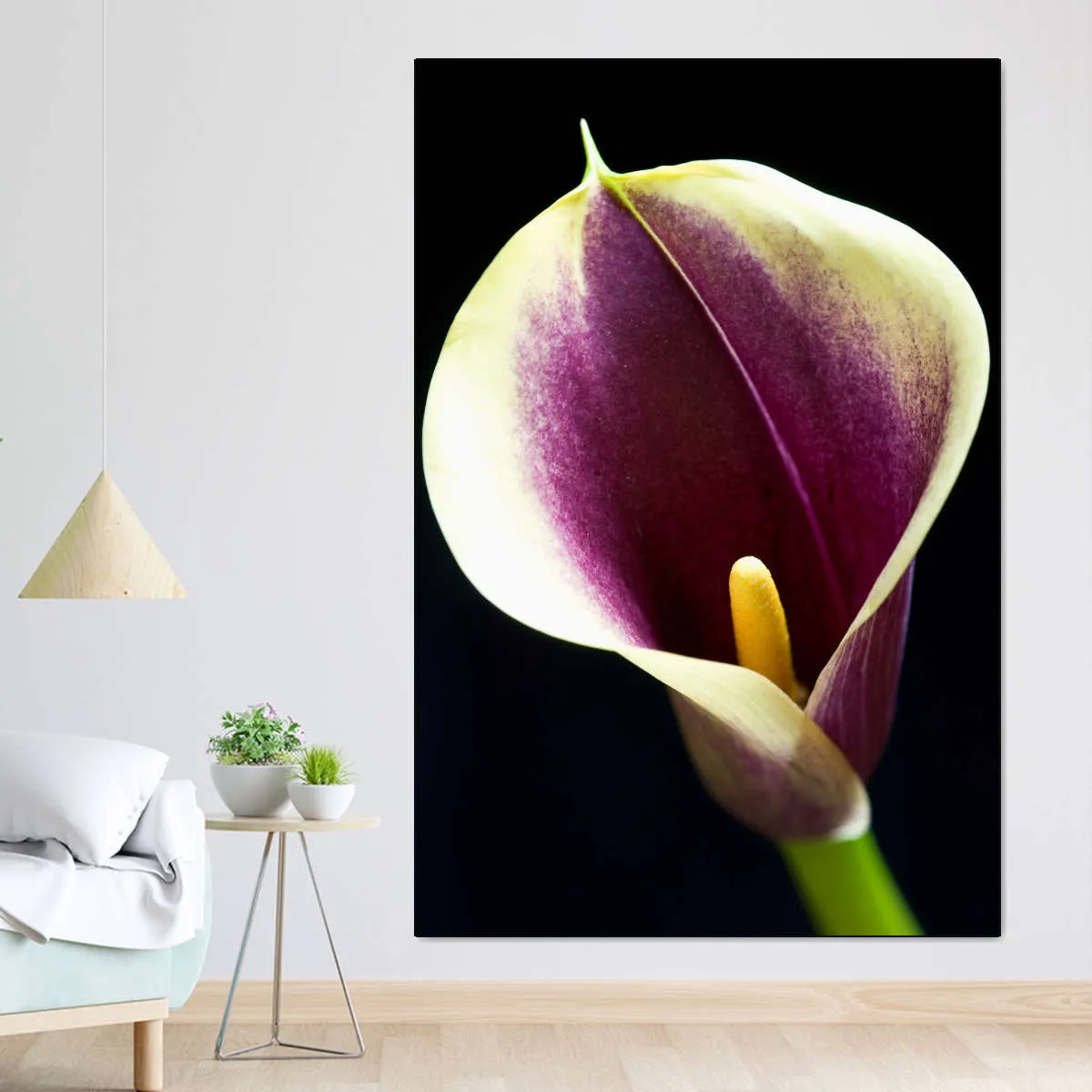 A Calla Lily I Wall Art