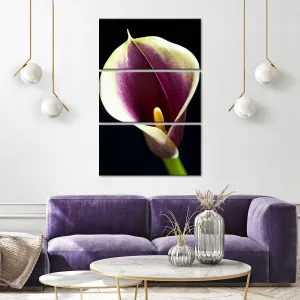 A Calla Lily I Wall Art