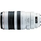 Canon EF 100-400mm f/4.5-5.6L IS USM Telephoto Zoom Lens for Canon SLR Cameras