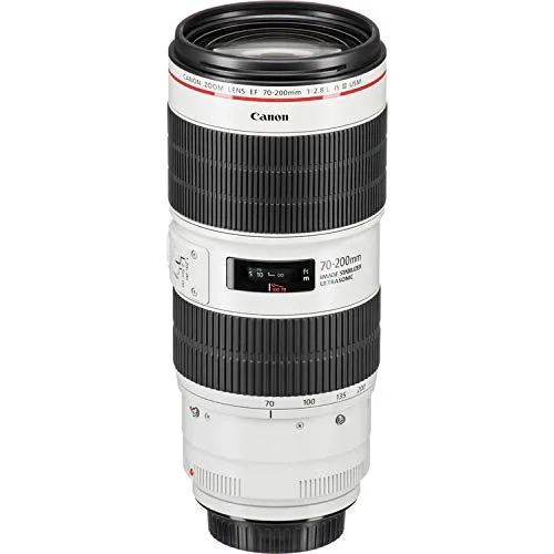 Canon EF 70-200mm f/2.8L is III USM Lens (International Model) Basic Bundle