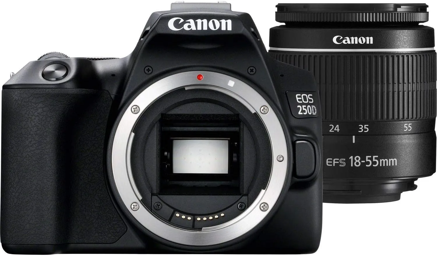 Canon EOS 250D / Rebel SL3 DSLR Camera with 18-55mm Lens (Black)   Creative Filter Set, EOS Camera Bag   6AVE Electronics