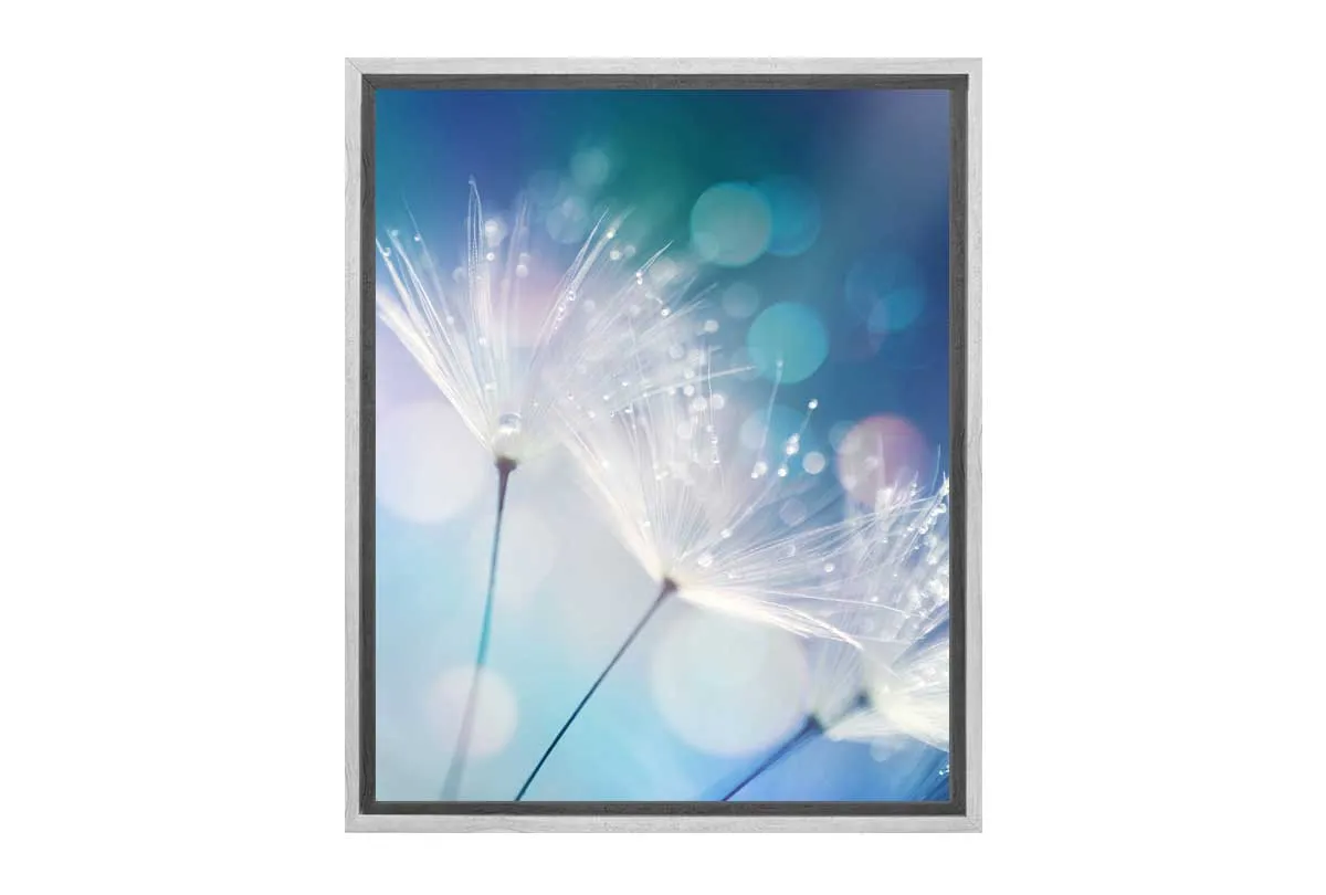 Dandelion Macro | Canvas Wall Art Print