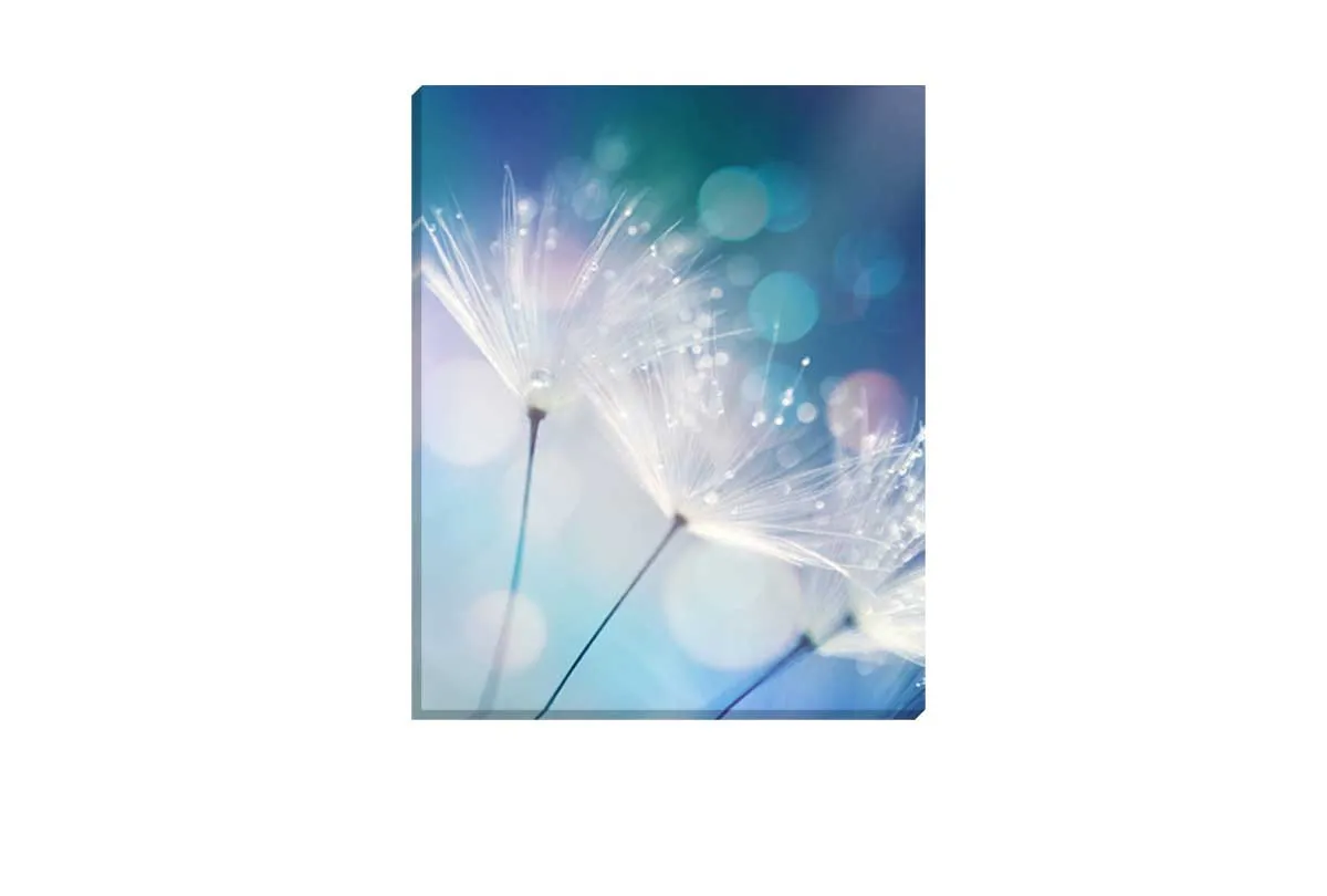 Dandelion Macro | Canvas Wall Art Print