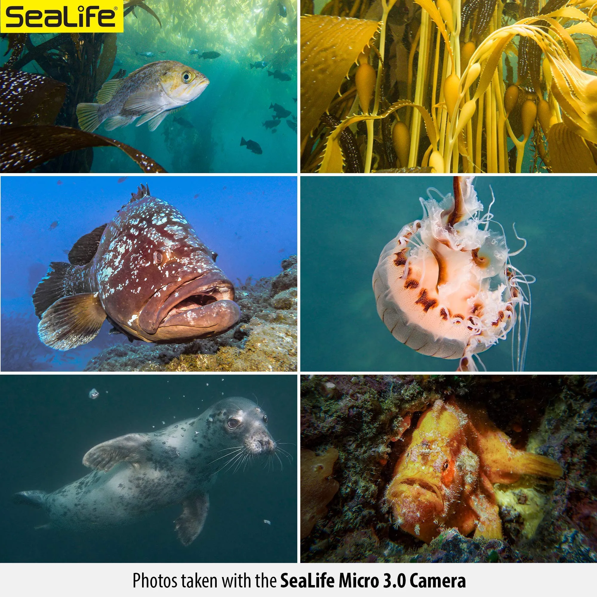 SeaLife Micro 3.0 16mp, 4K Underwater Camera