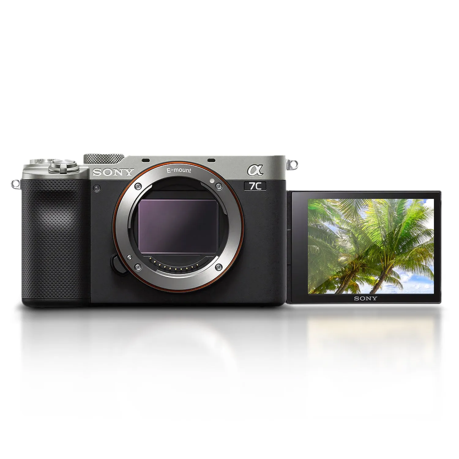 Sony Alpha a7C Mirrorless Digital Camera (Body Only, Silver) (ILCE7C/S) - Advanced Bundle